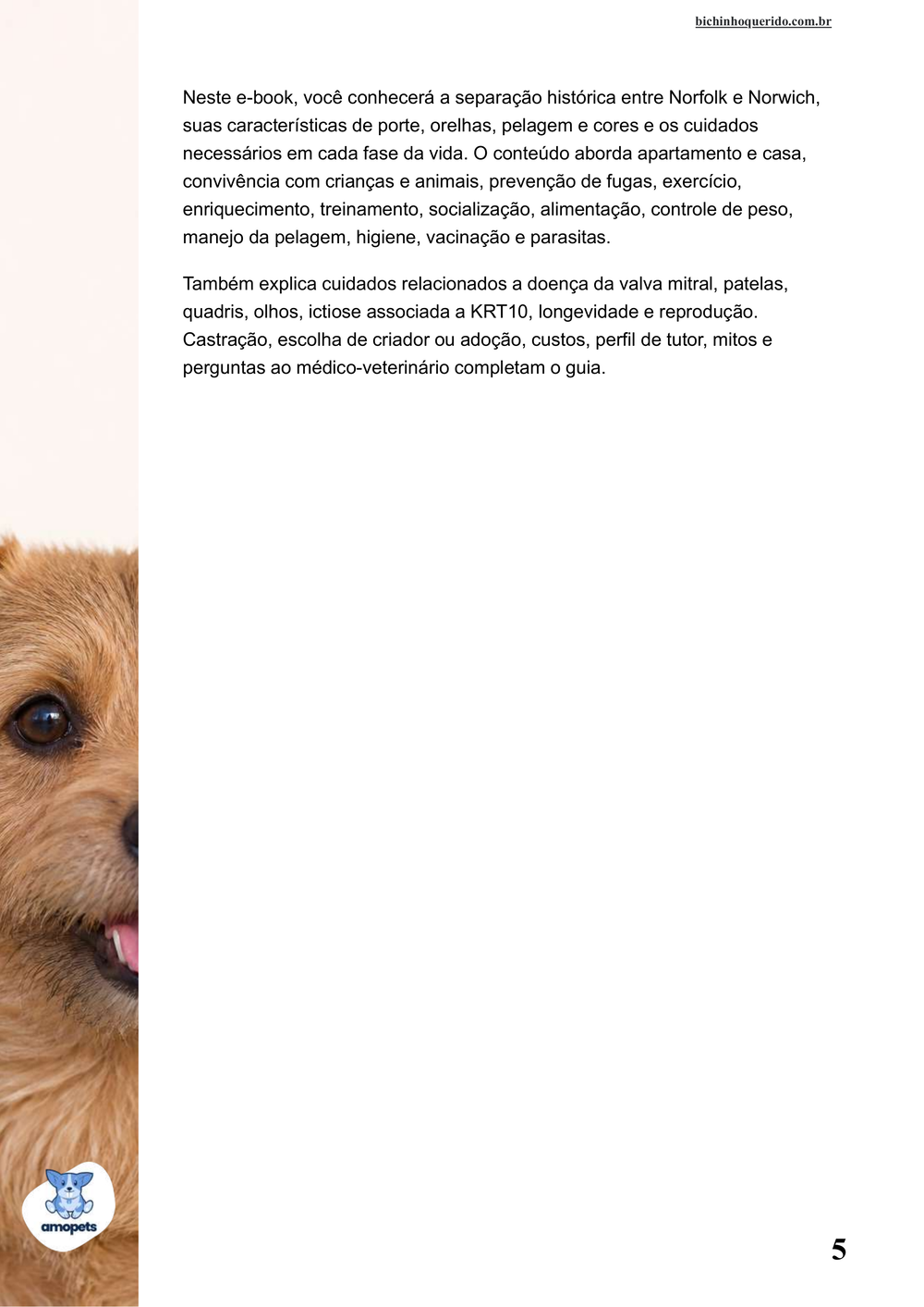continuação da introdução do e-book Guia de Como Cuidar do Norfolk Terrier