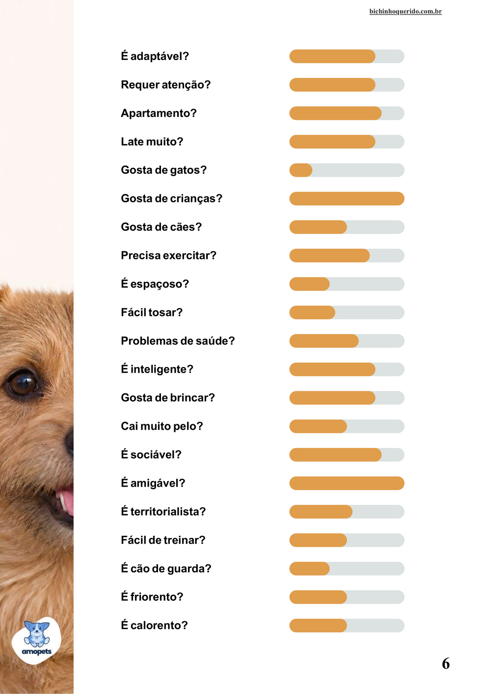 perfil da raça no e-book Guia de Como Cuidar do Norfolk Terrier