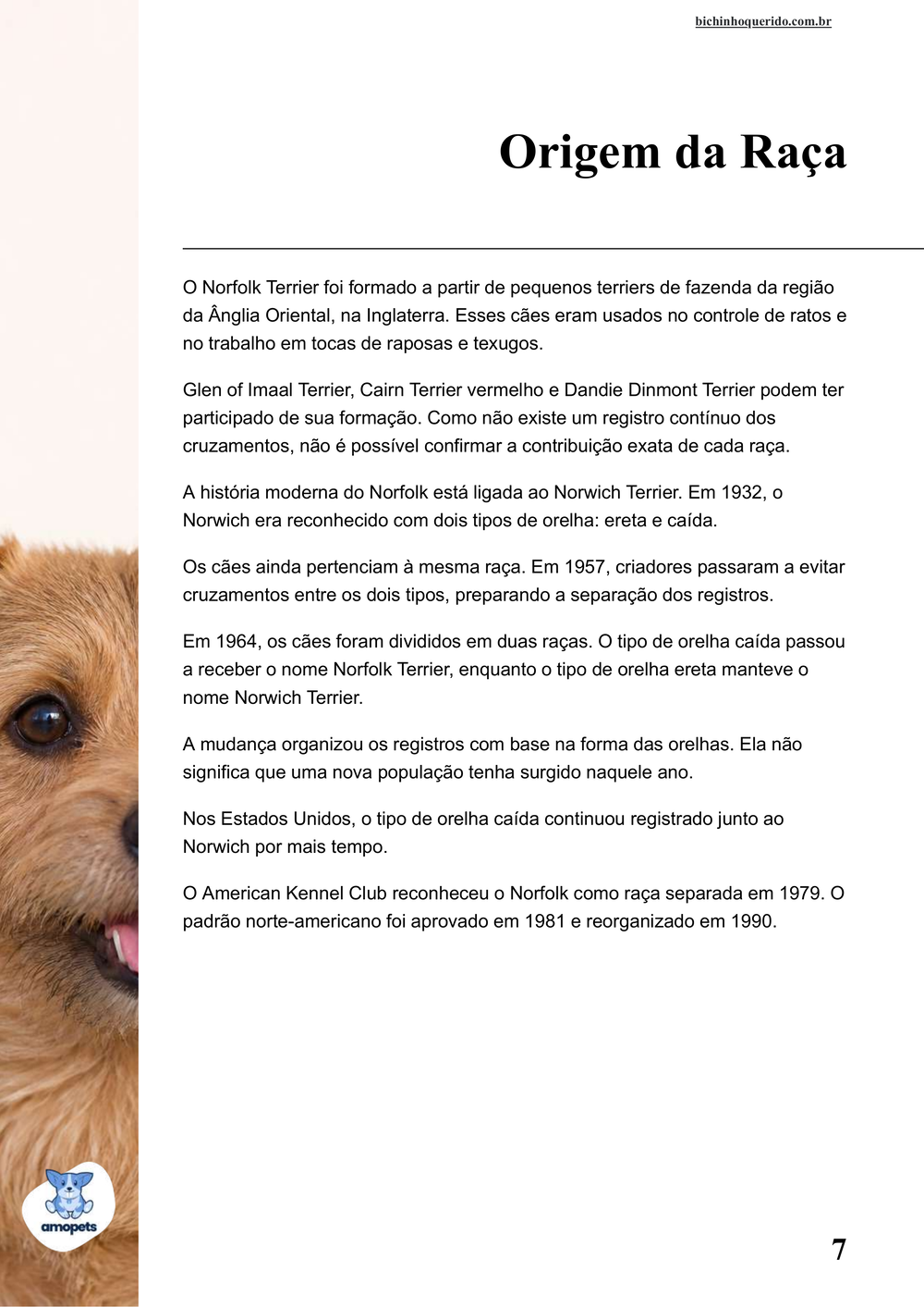 origem da raça no e-book Guia de Como Cuidar do Norfolk Terrier