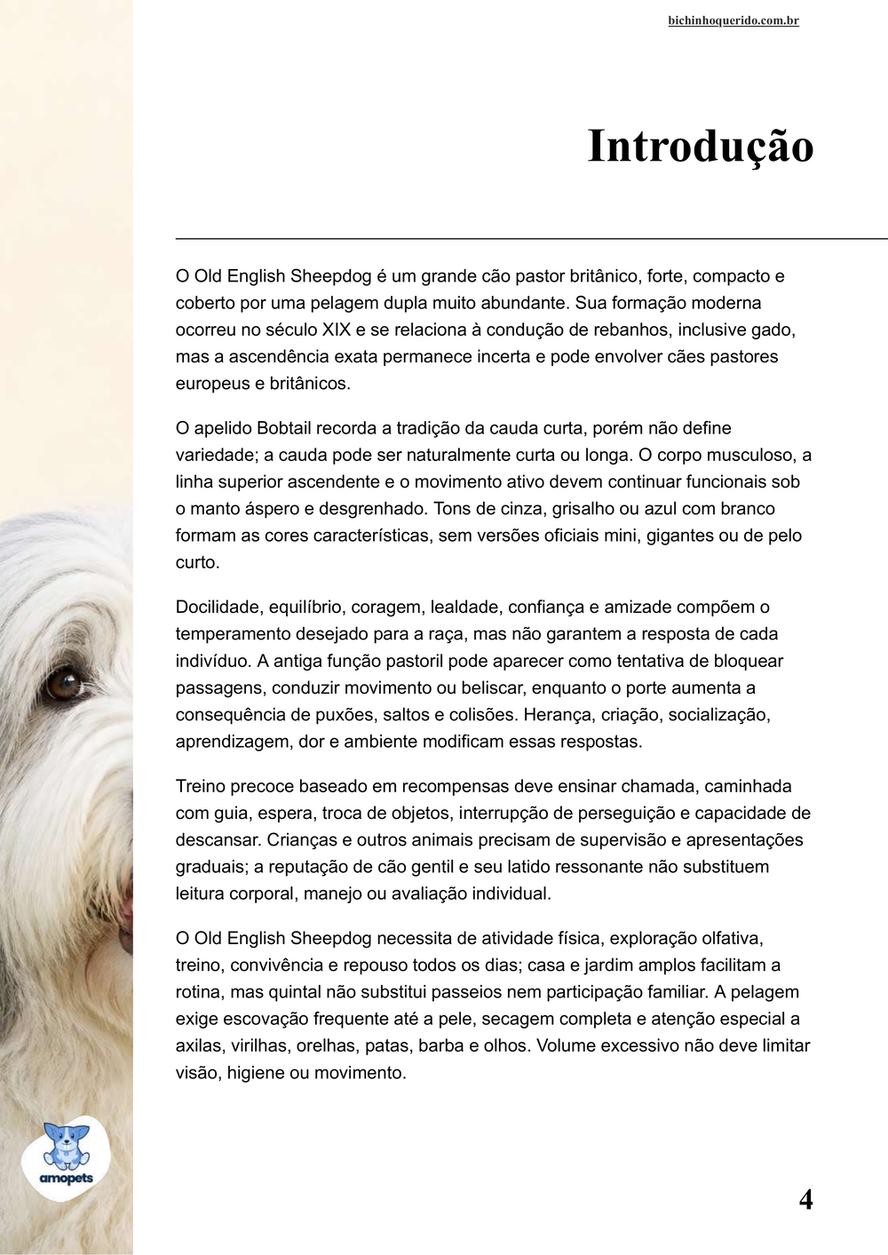 introdução do e-book Guia de Como Cuidar do Old English Sheepdog