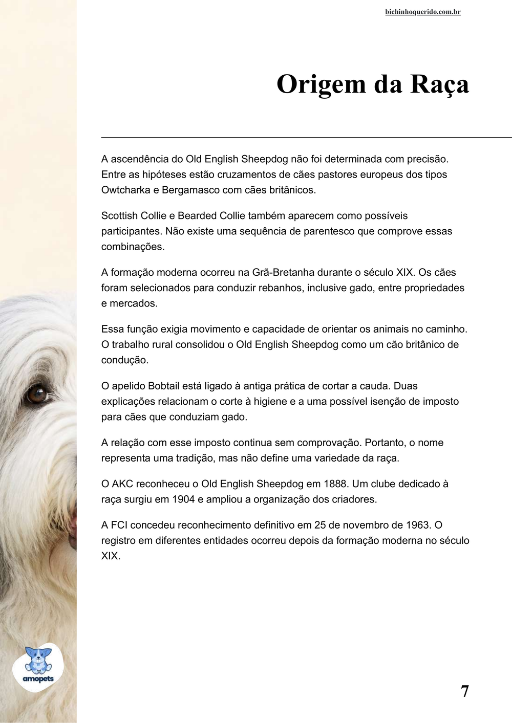 origem da raça no e-book Guia de Como Cuidar do Old English Sheepdog