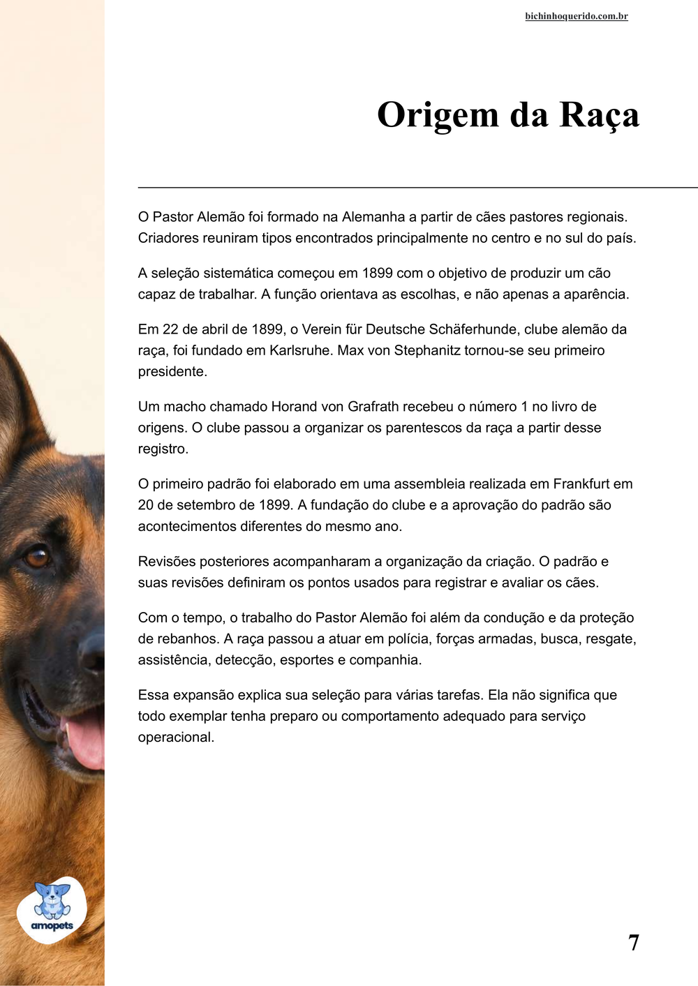 origem da raça no e-book Guia de Como Cuidar do Pastor Alemão