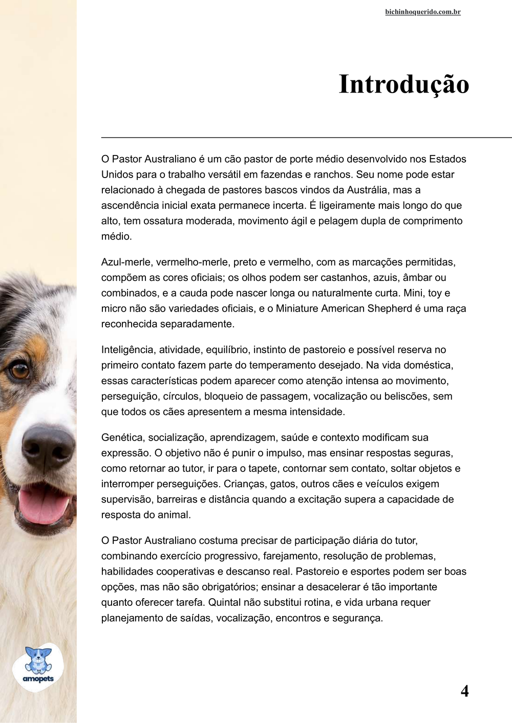 introdução do e-book Guia de Como Cuidar do Pastor Australiano