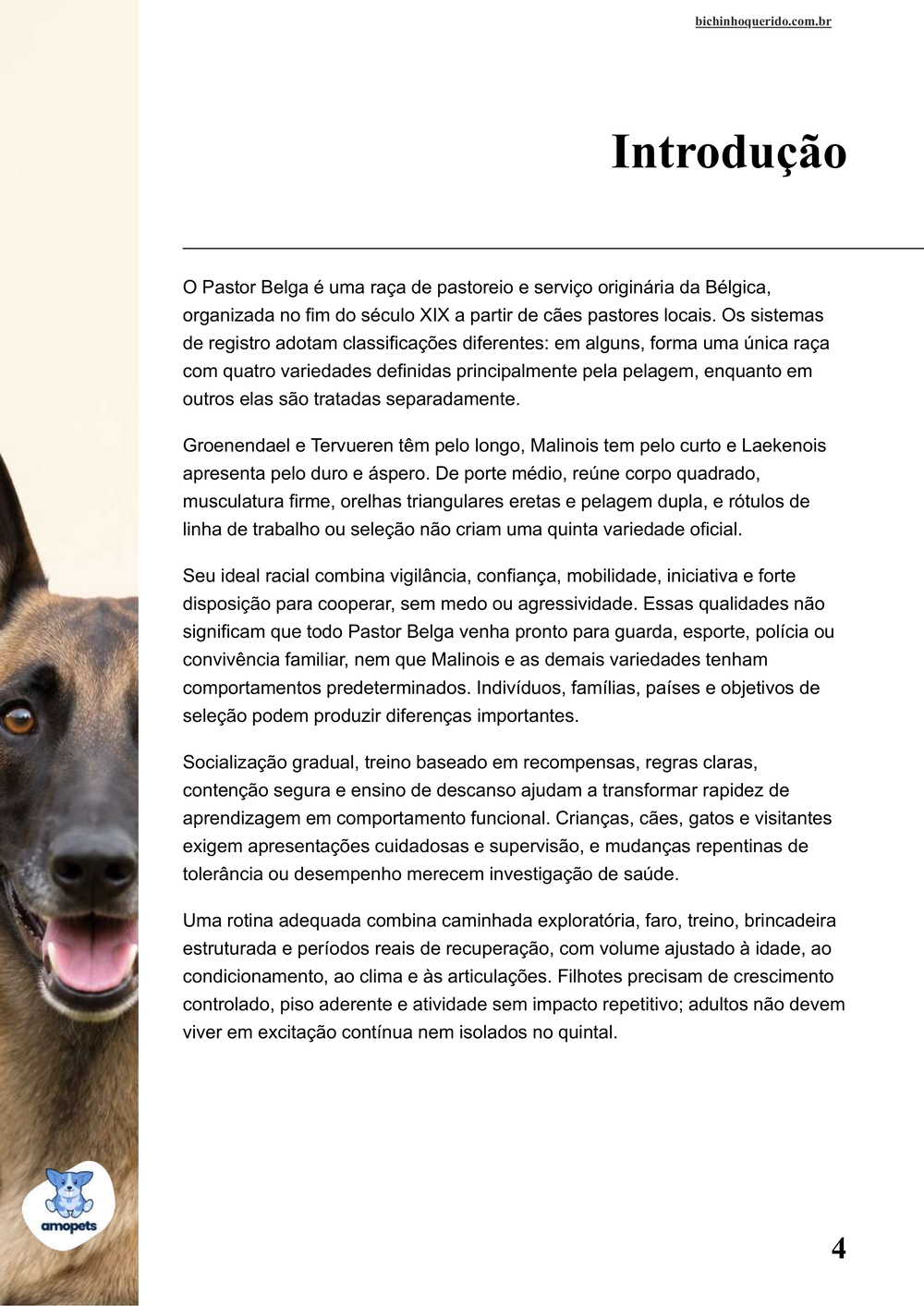introdução do e-book Guia de Como Cuidar do Pastor Belga