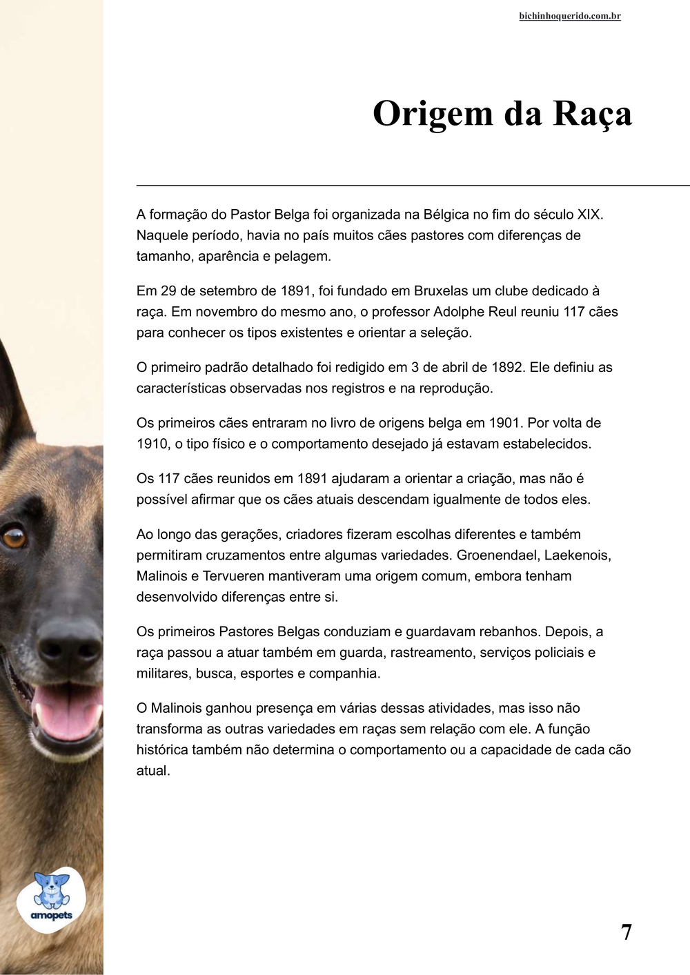 origem da raça no e-book Guia de Como Cuidar do Pastor Belga