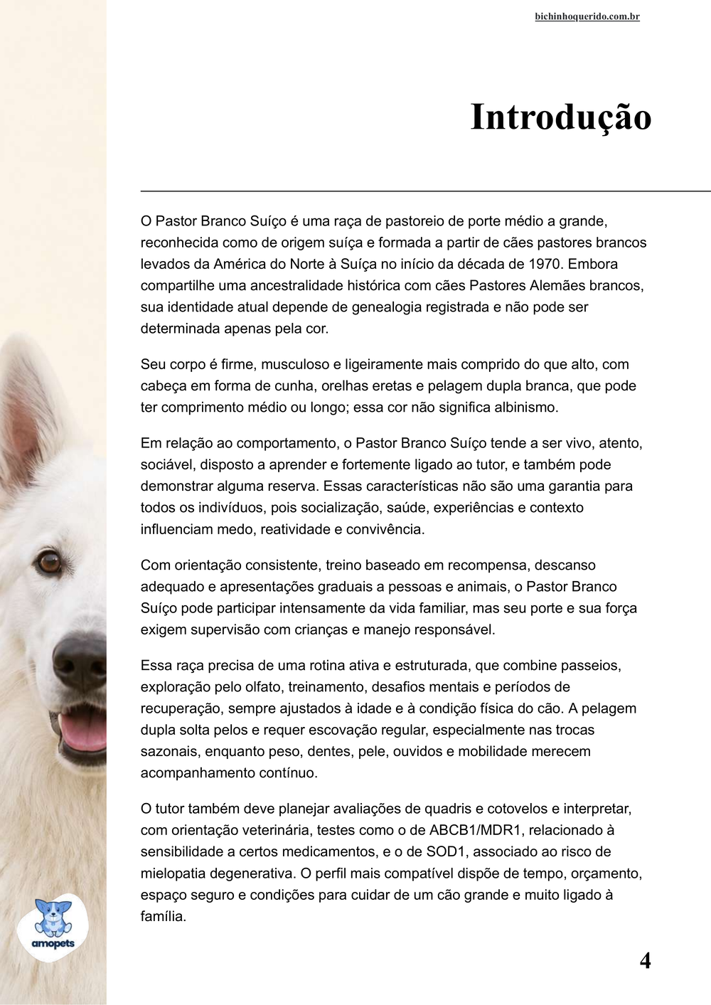 introdução do e-book Guia de Como Cuidar do Pastor Branco Suíço