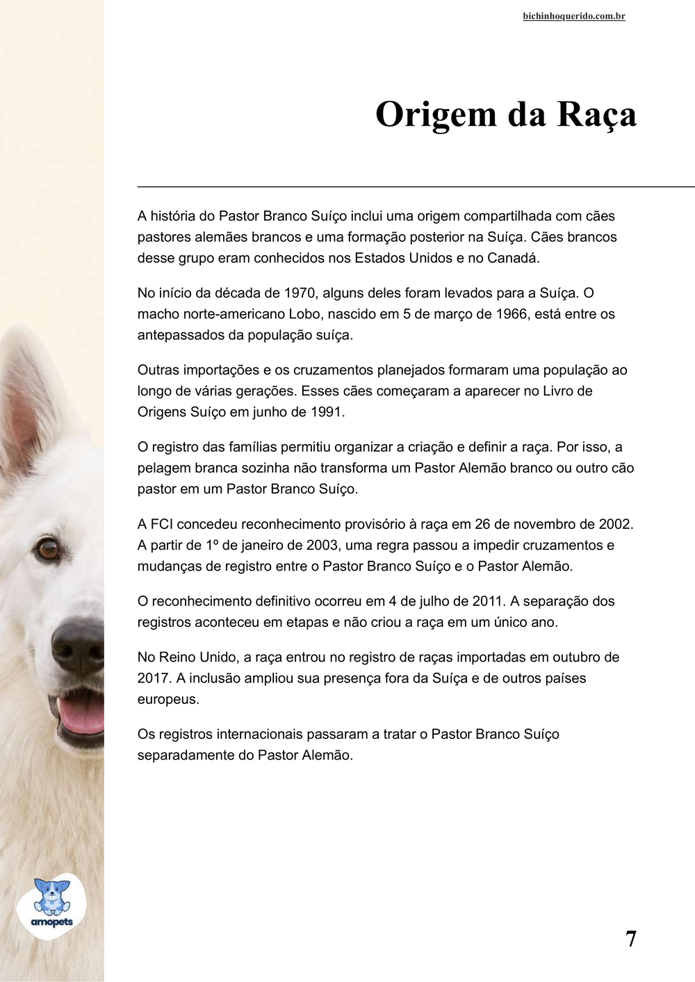 origem da raça no e-book Guia de Como Cuidar do Pastor Branco Suíço