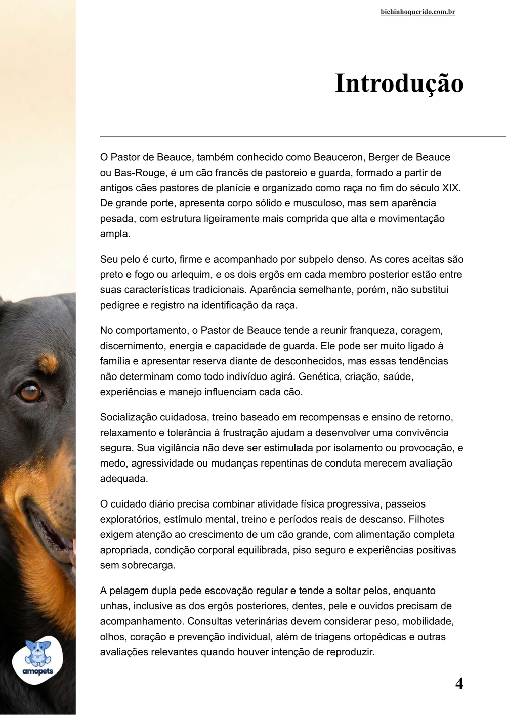 introdução do e-book Guia de Como Cuidar do Pastor de Beauce