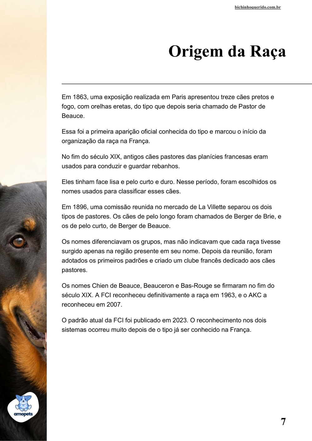 origem da raça no e-book Guia de Como Cuidar do Pastor de Beauce