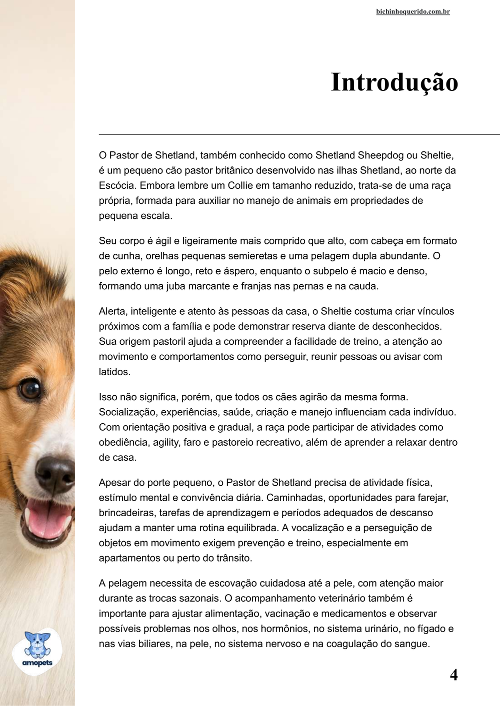 introdução do e-book Guia de Como Cuidar do Pastor de Shetland