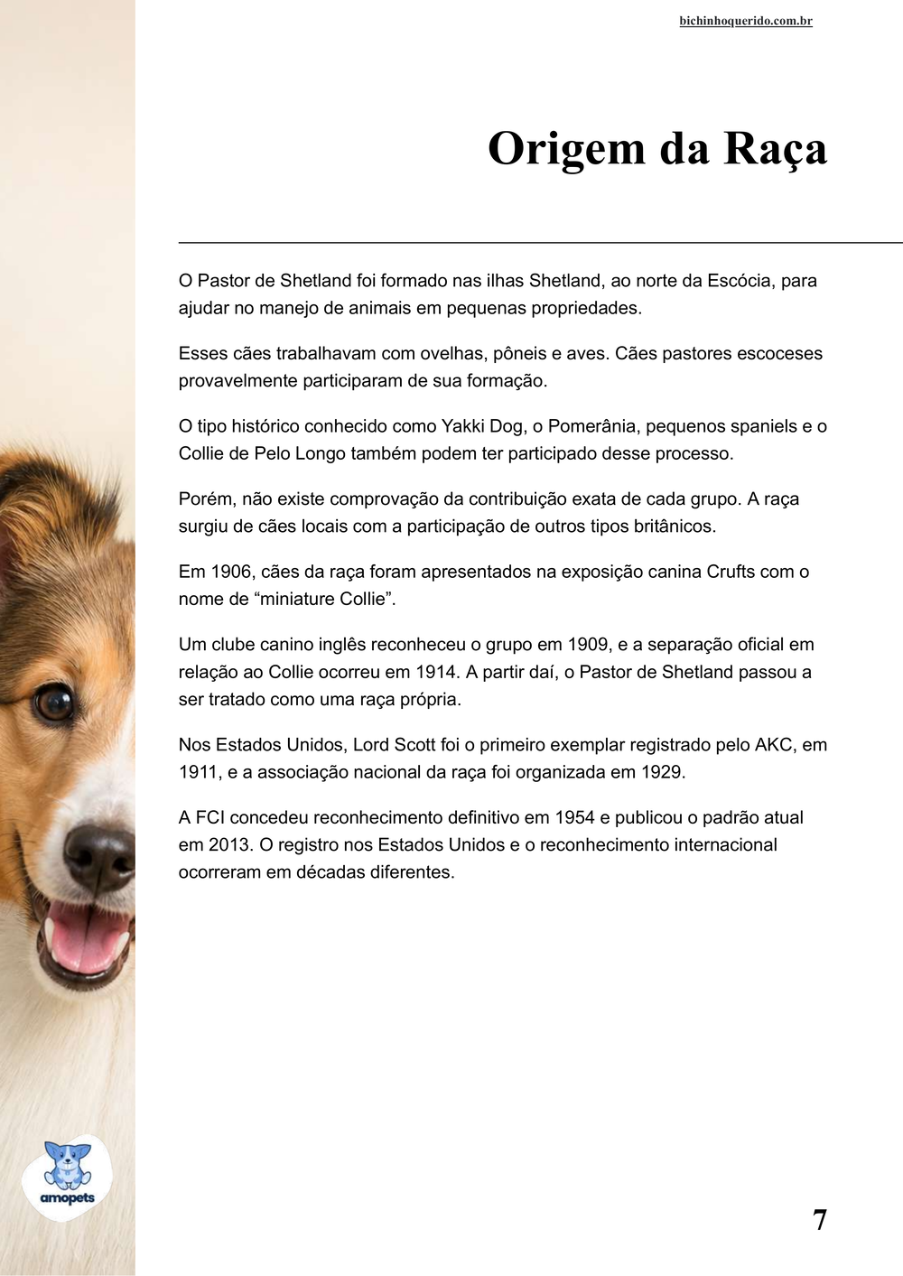 origem da raça no e-book Guia de Como Cuidar do Pastor de Shetland
