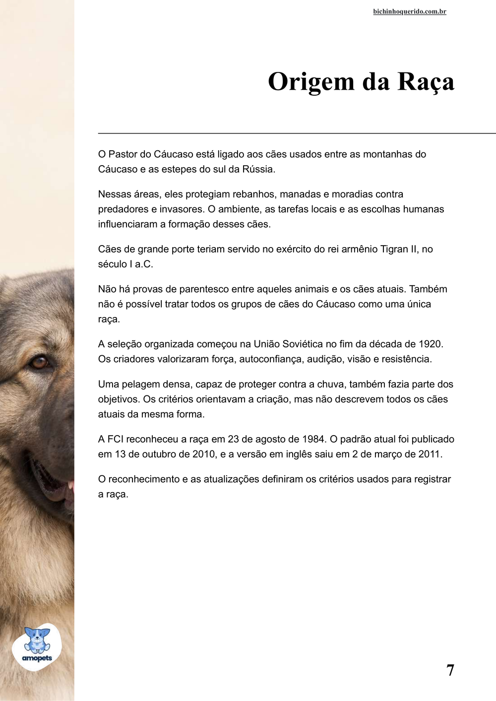 origem da raça no e-book Guia de Como Cuidar do Pastor do Cáucaso