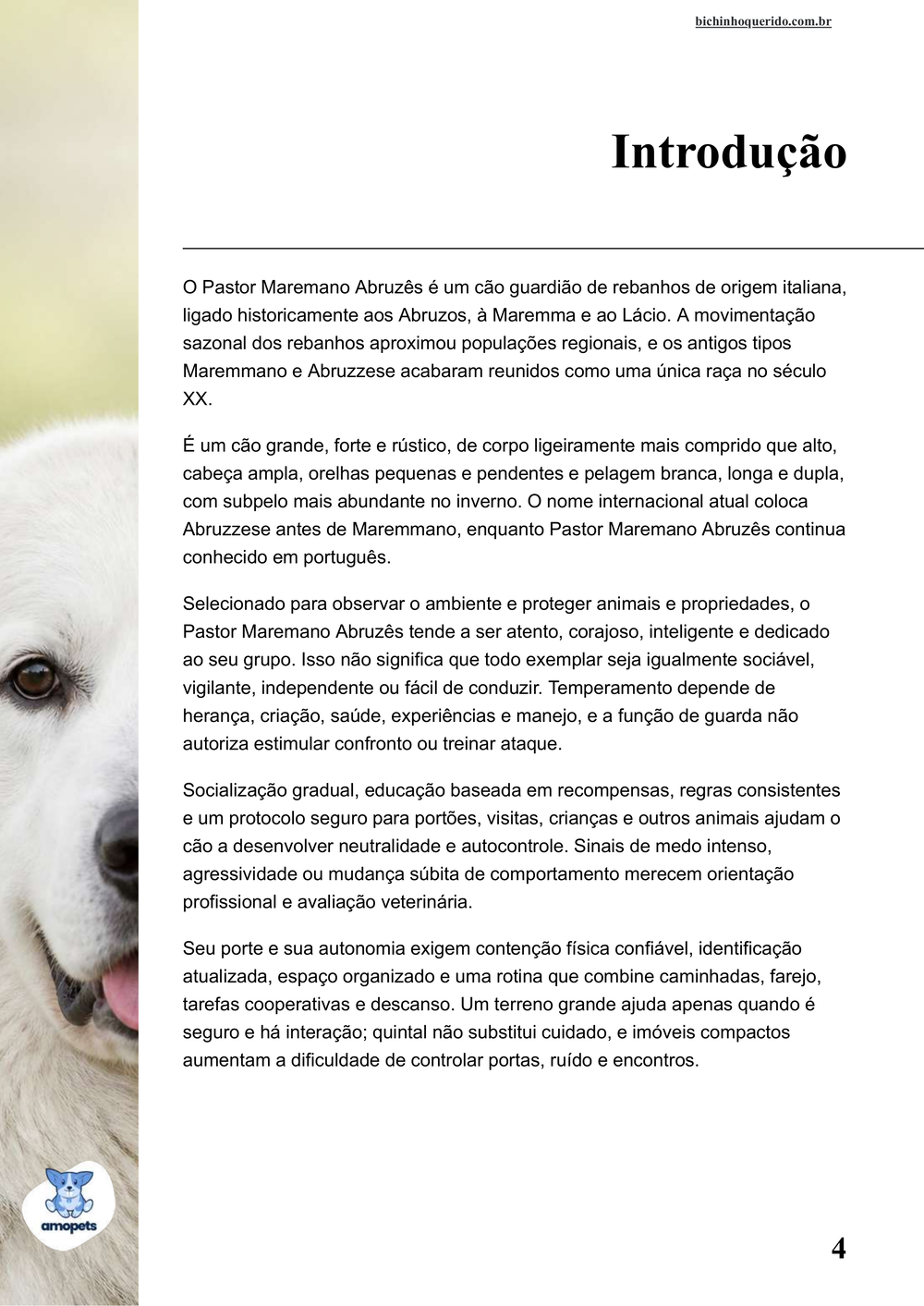 introdução do e-book Guia de Como Cuidar do Pastor Maremano Abruzês