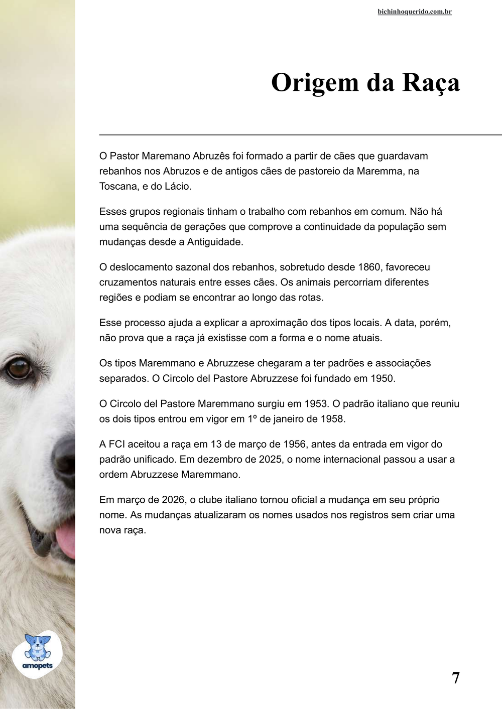 origem da raça no e-book Guia de Como Cuidar do Pastor Maremano Abruzês