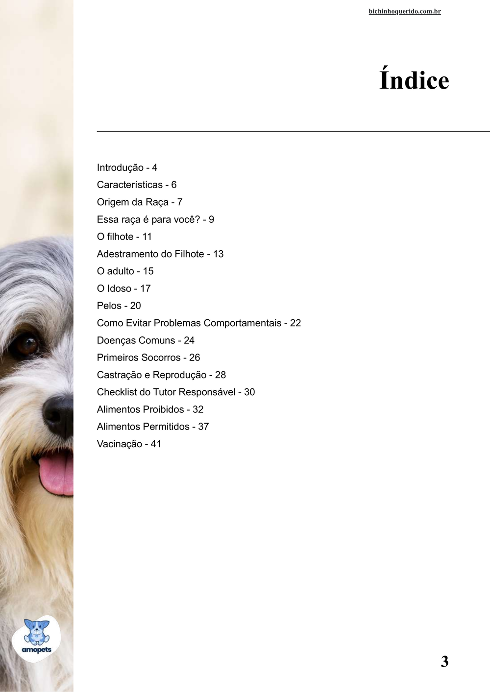 índice do e-book Guia de Como Cuidar do Pequeno Cão Leão