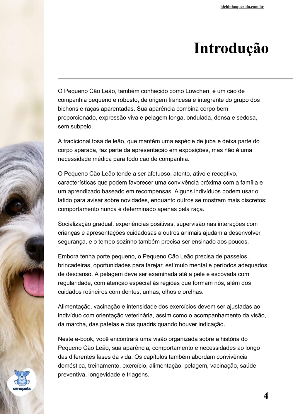 introdução do e-book Guia de Como Cuidar do Pequeno Cão Leão