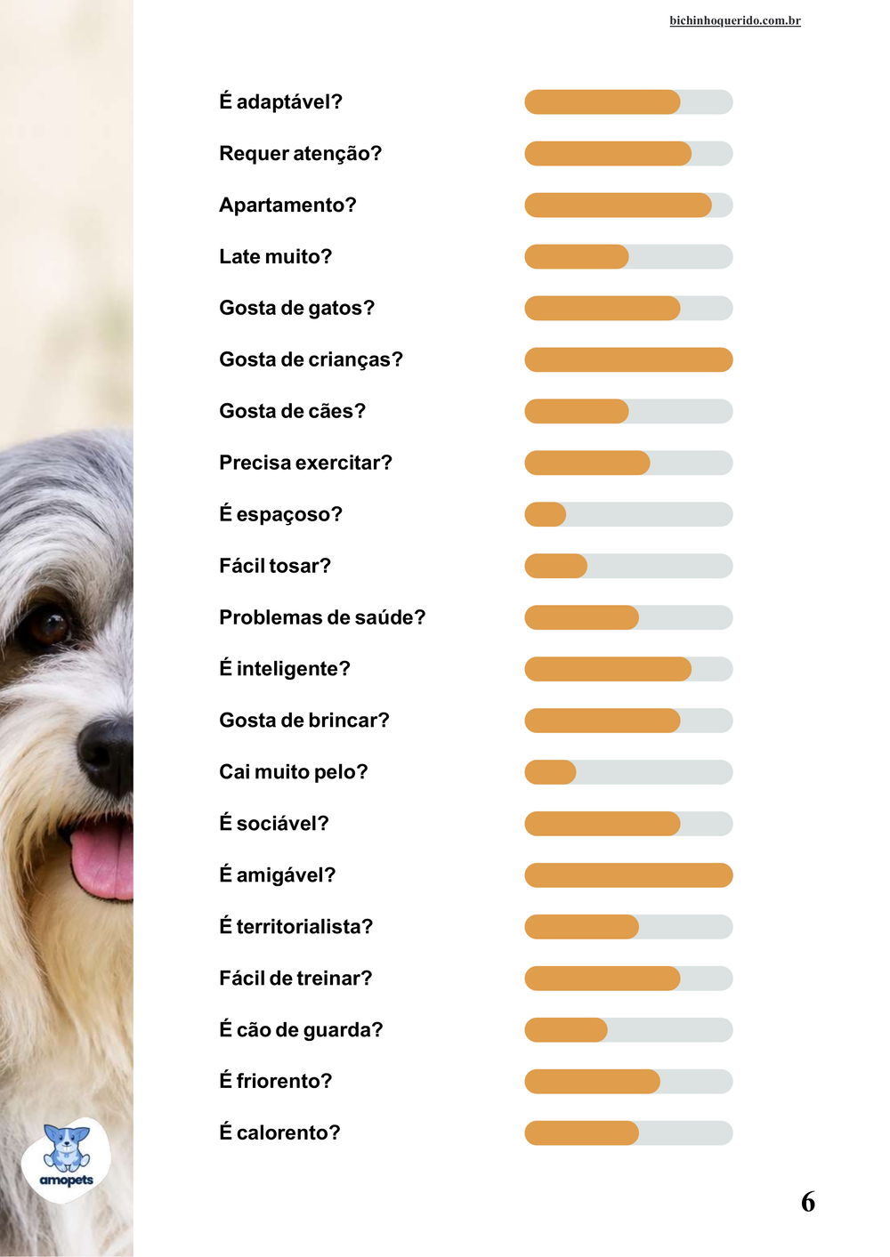 perfil da raça no e-book Guia de Como Cuidar do Pequeno Cão Leão