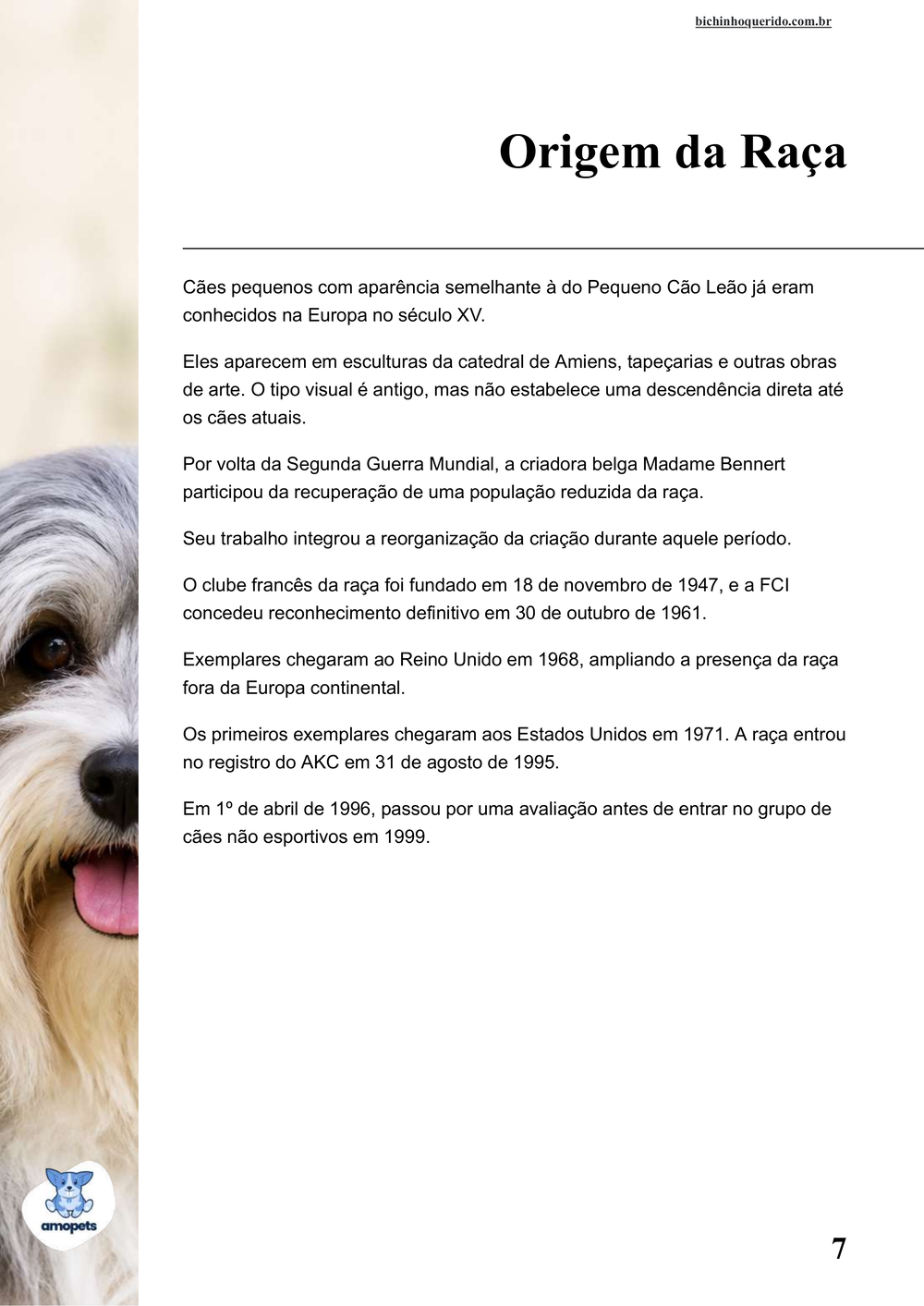 origem da raça no e-book Guia de Como Cuidar do Pequeno Cão Leão