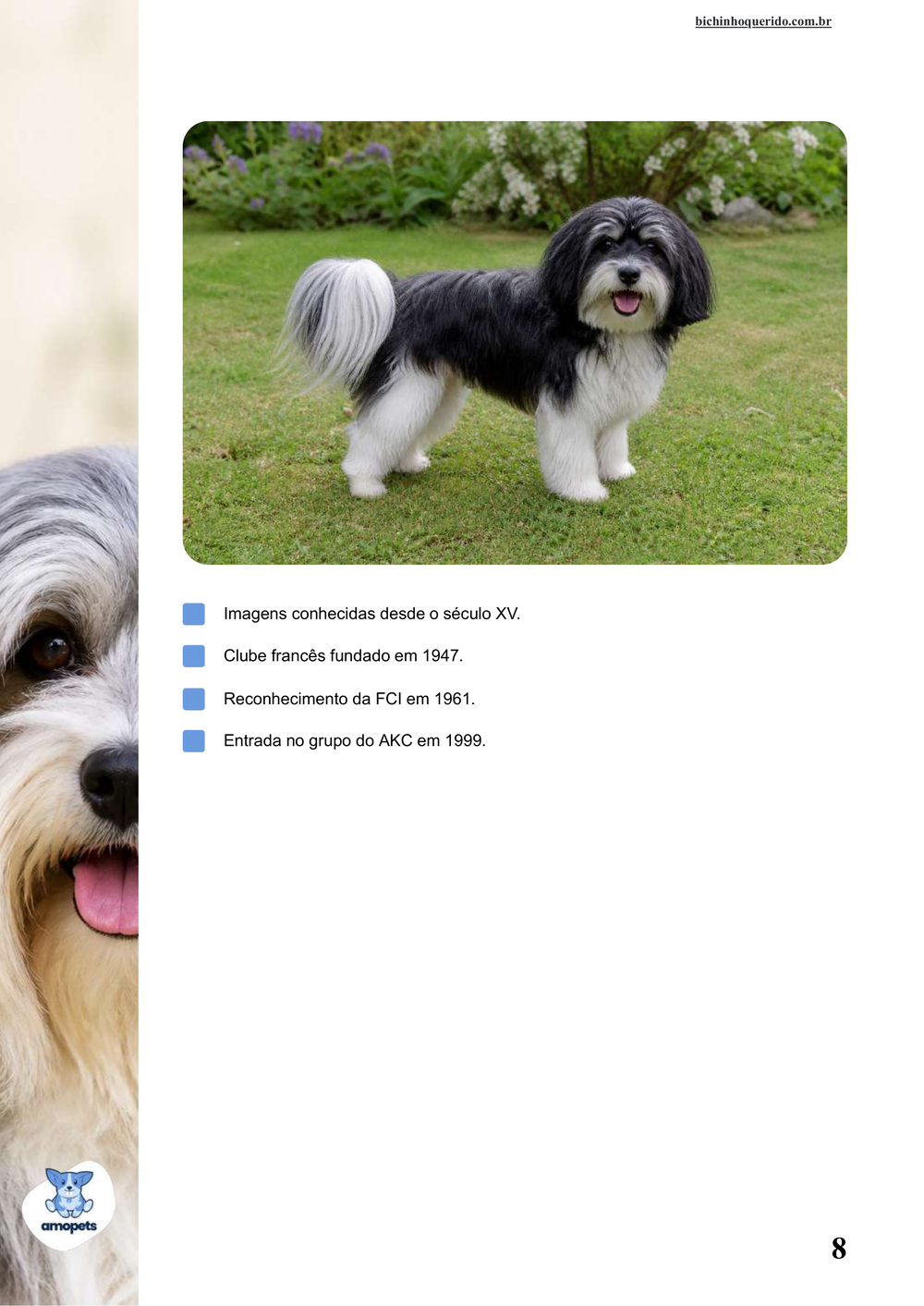 características do Pequeno Cão Leão no e-book Guia de Como Cuidar do Pequeno Cão Leão