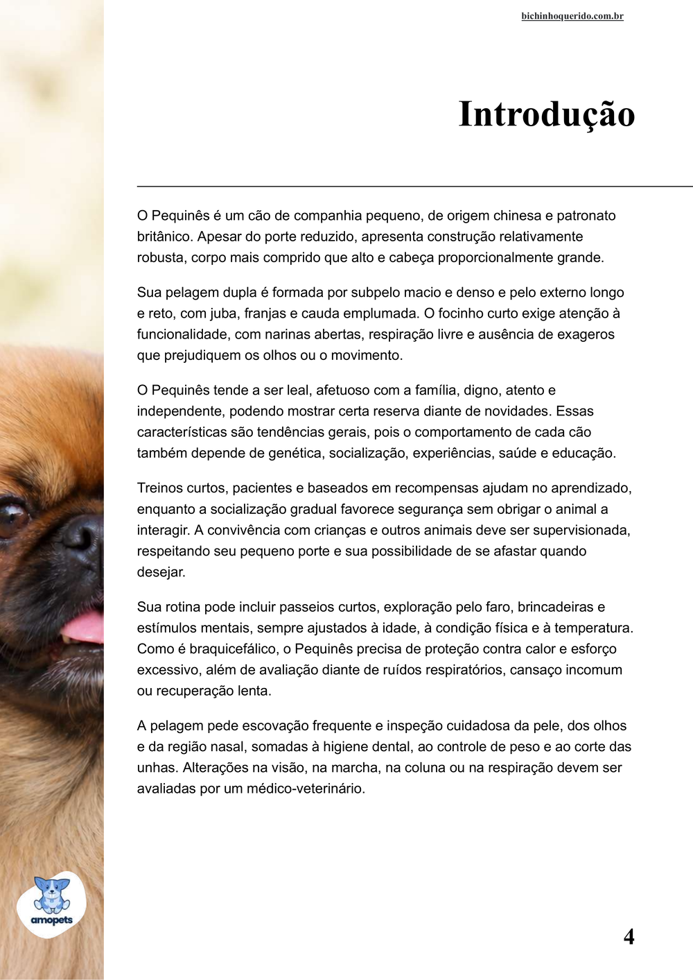introdução do e-book Guia de Como Cuidar do Pequinês