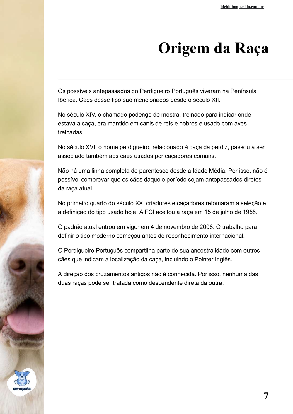 origem da raça no e-book Guia de Como Cuidar do Perdigueiro Português