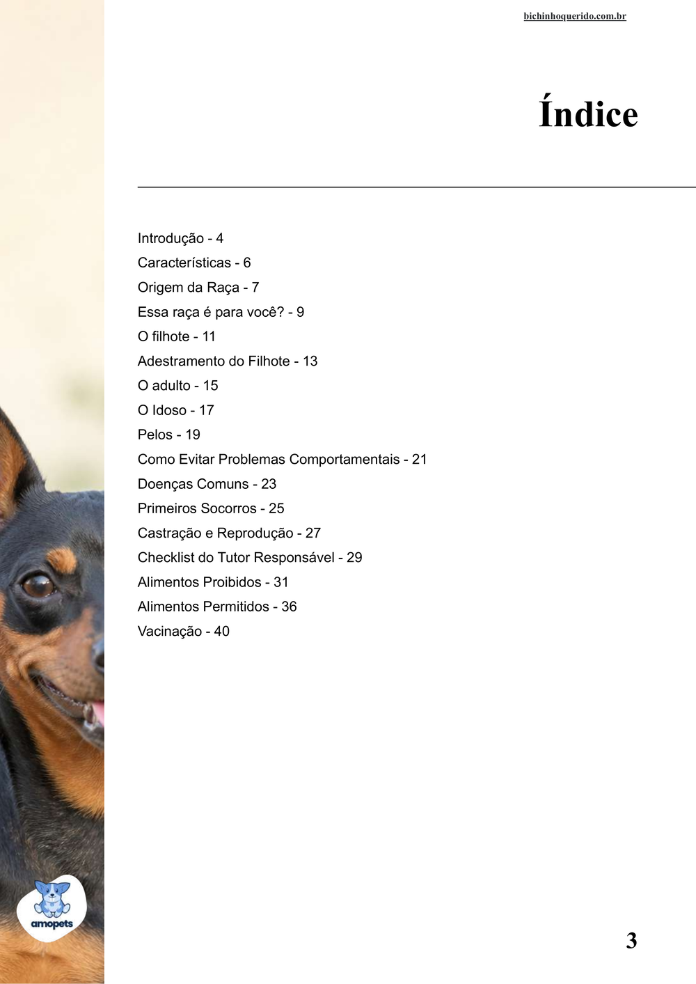 índice do e-book Guia de Como Cuidar do Pinscher