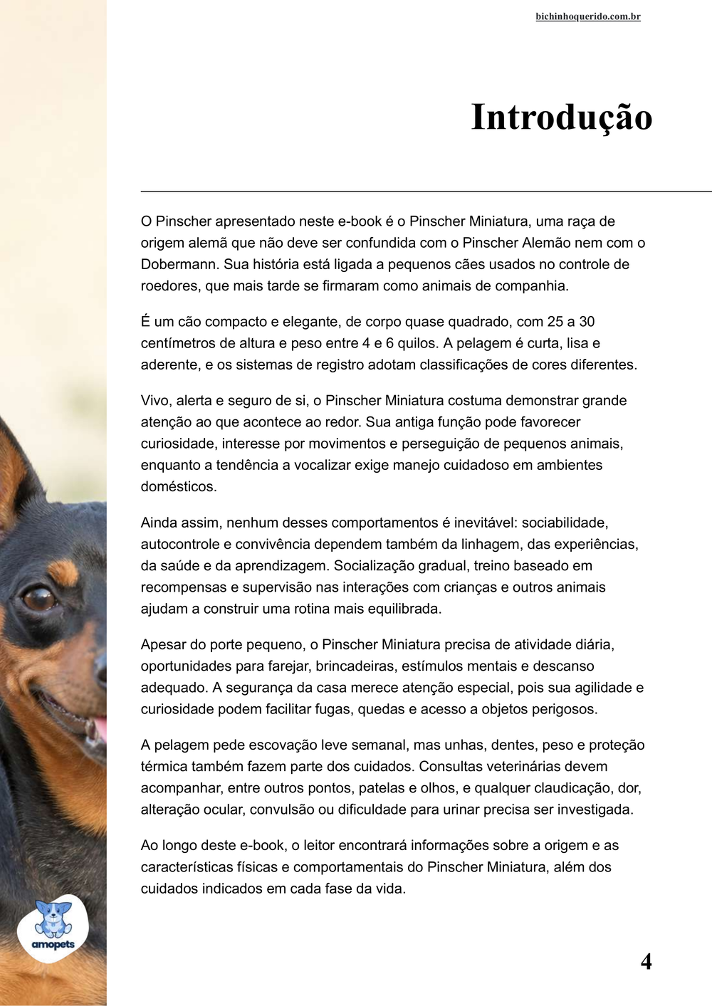 introdução do e-book Guia de Como Cuidar do Pinscher