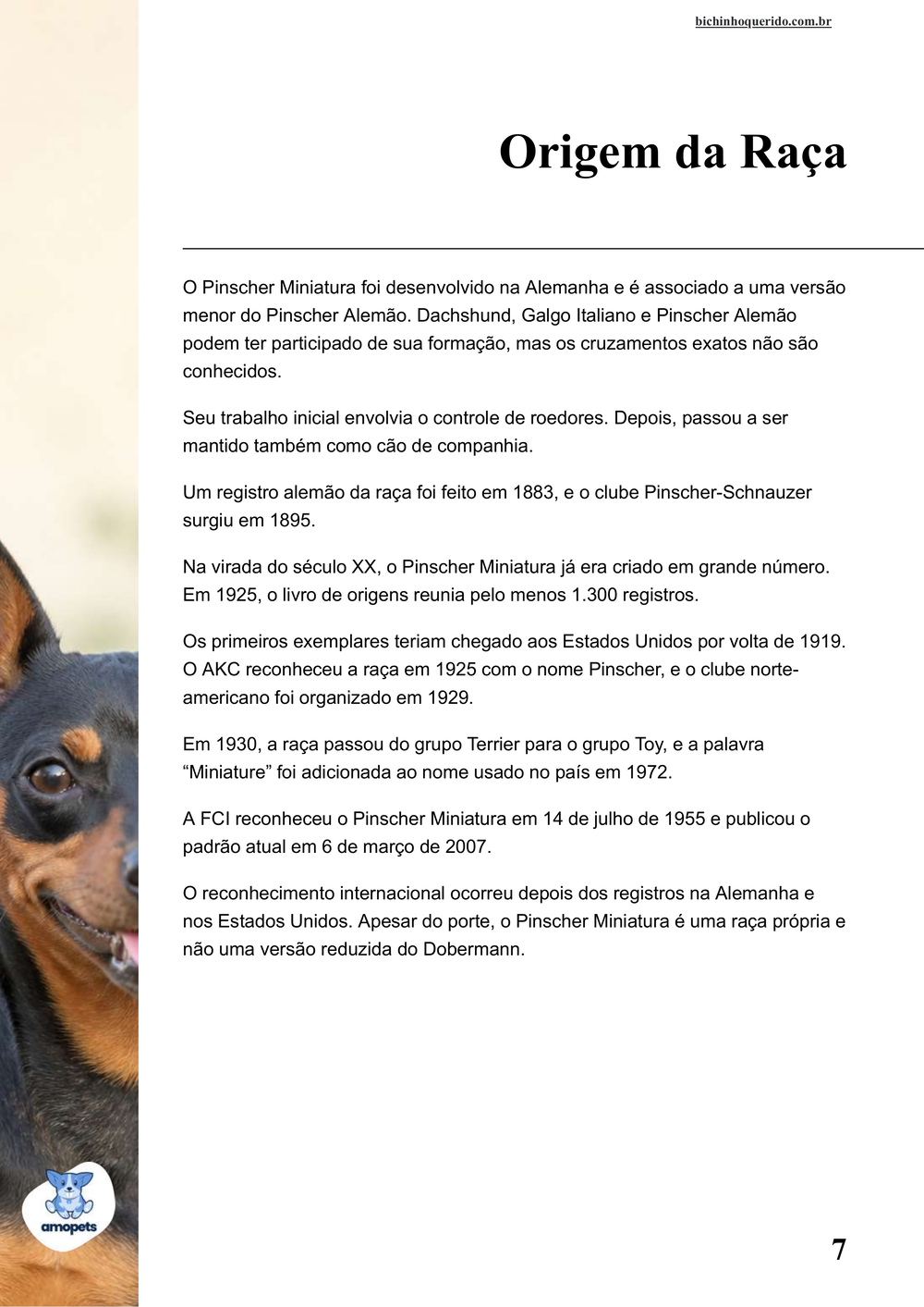 origem da raça no e-book Guia de Como Cuidar do Pinscher