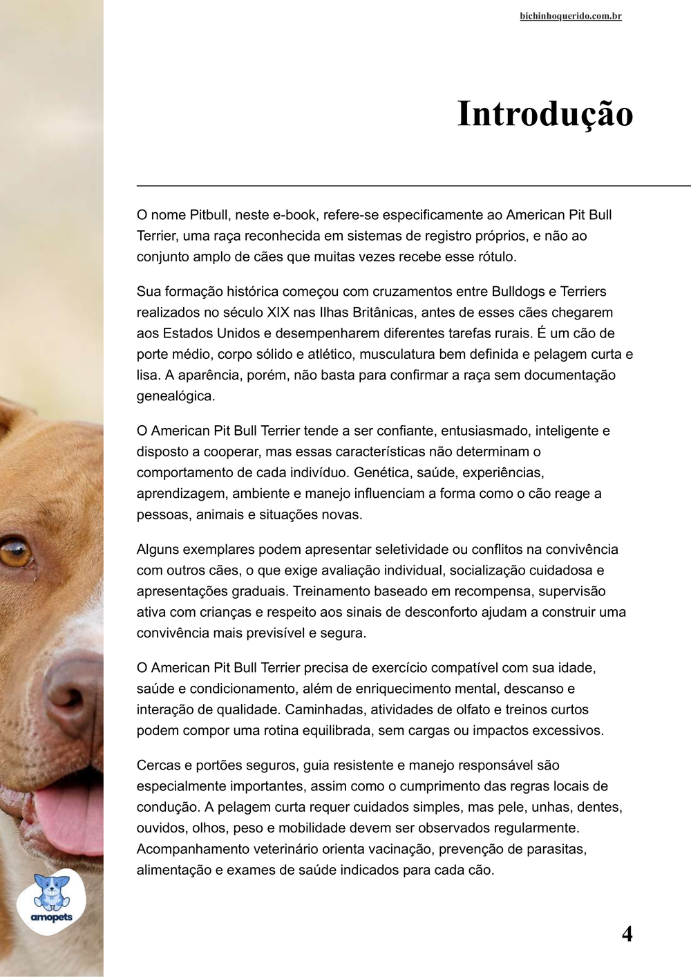 introdução do e-book Guia de Como Cuidar do Pitbull