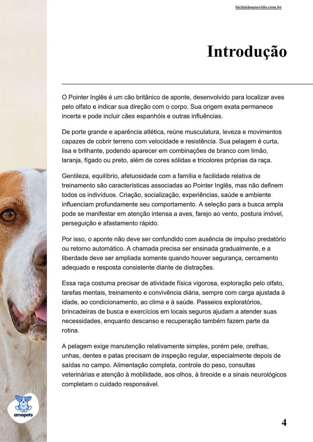 introdução do e-book Guia de Como Cuidar do Pointer Inglês