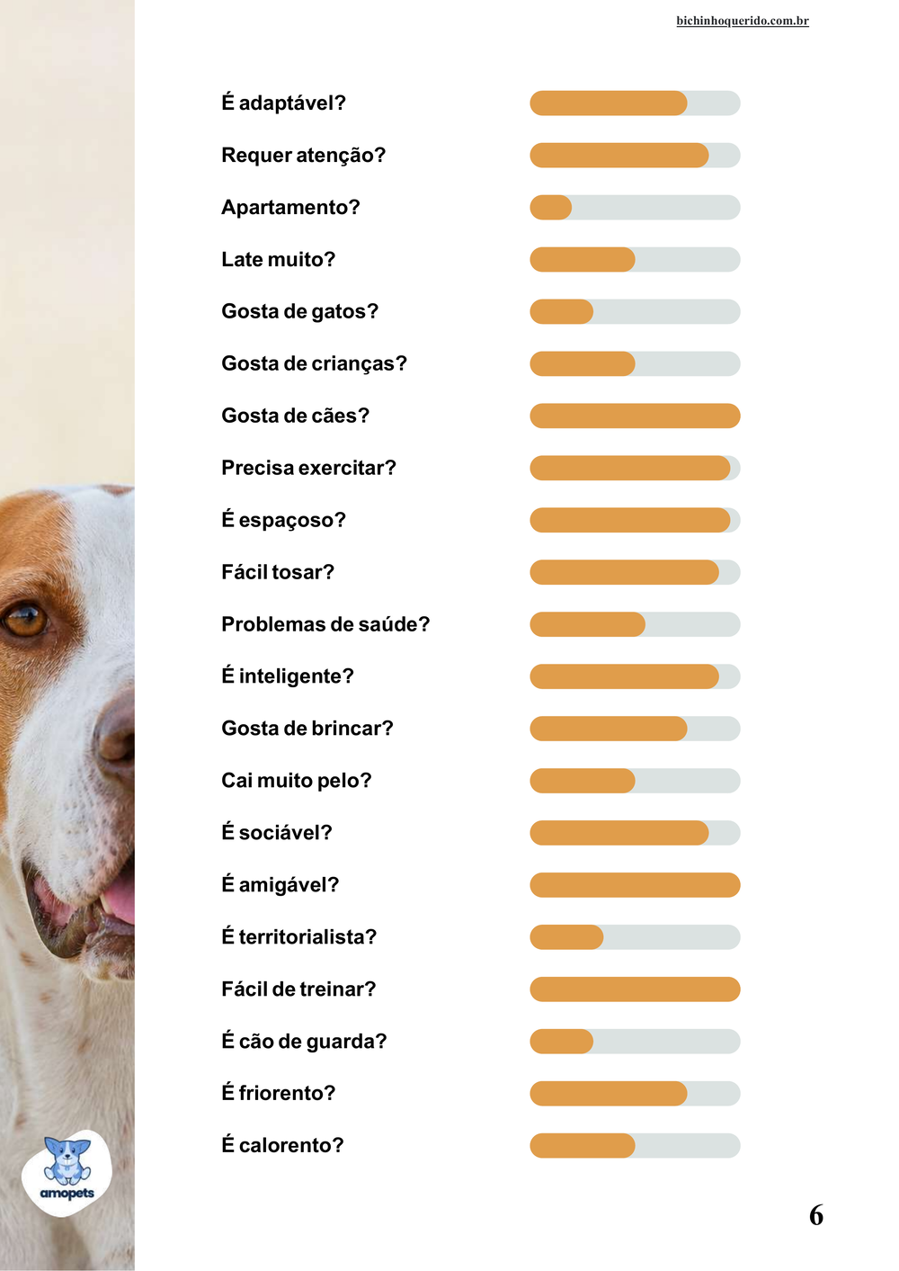 perfil da raça no e-book Guia de Como Cuidar do Pointer Inglês