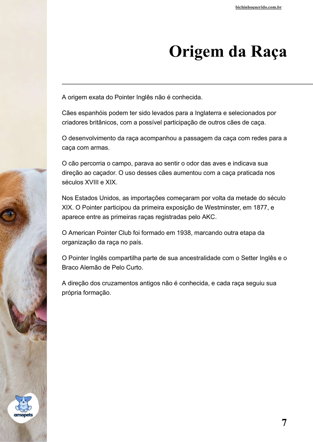 origem da raça no e-book Guia de Como Cuidar do Pointer Inglês