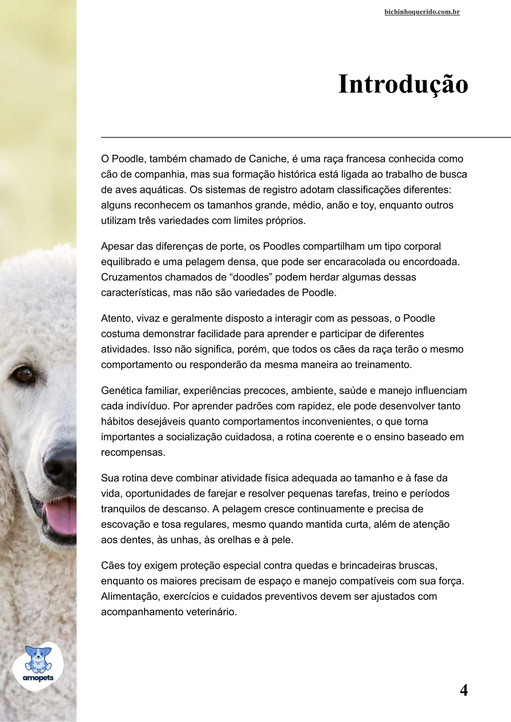introdução do e-book Guia de Como Cuidar do Poodle