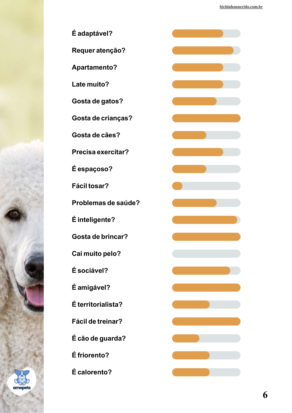 perfil da raça no e-book Guia de Como Cuidar do Poodle
