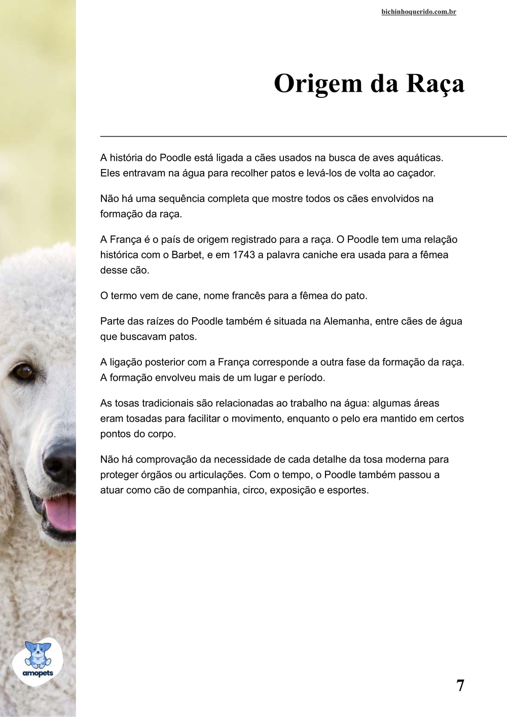 origem da raça no e-book Guia de Como Cuidar do Poodle