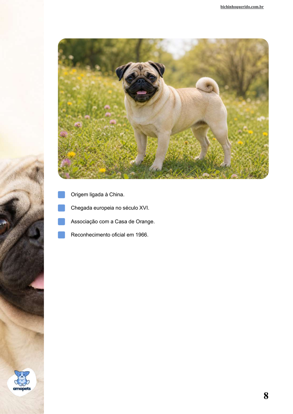 características do Pug no e-book Guia de Como Cuidar do Pug