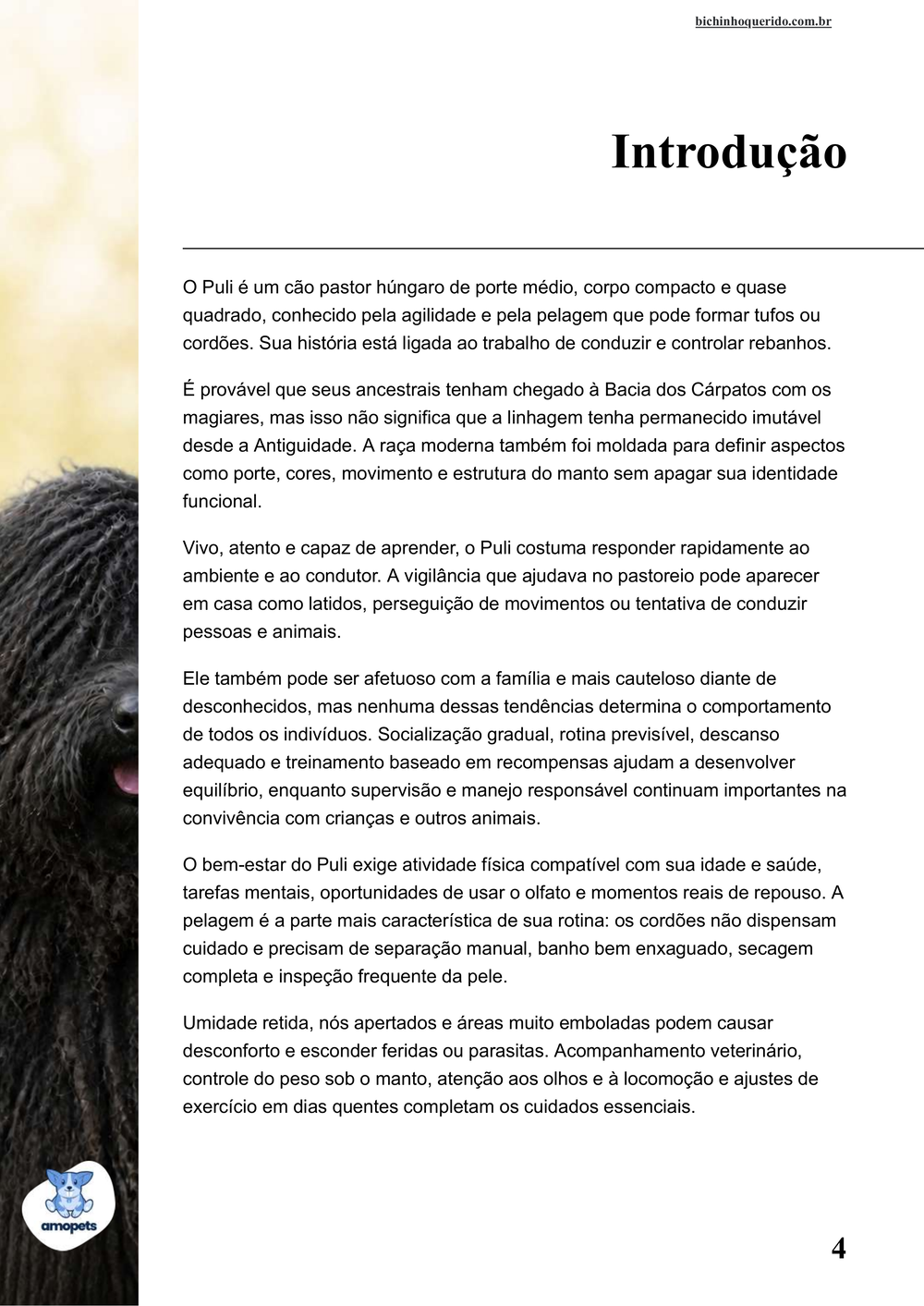 introdução do e-book Guia de Como Cuidar do Puli