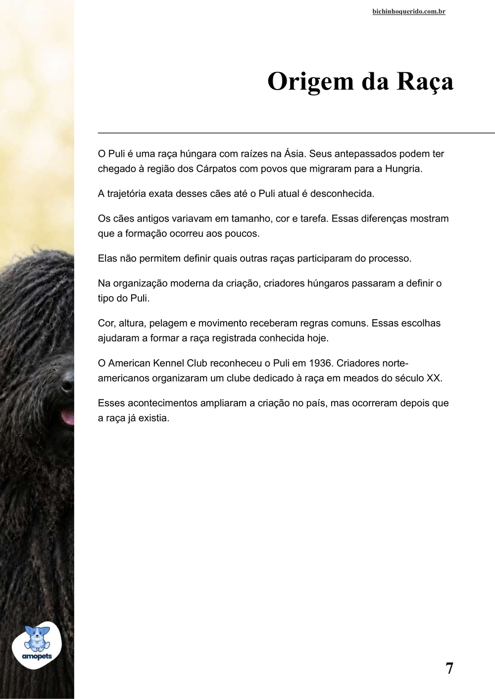 origem da raça no e-book Guia de Como Cuidar do Puli