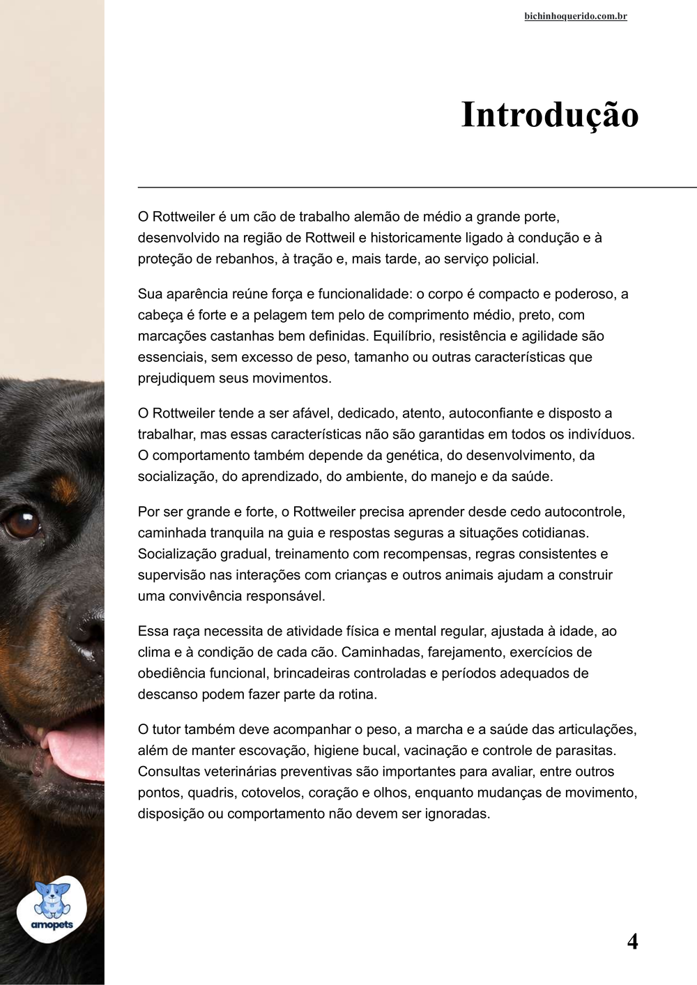 introdução do e-book Guia de Como Cuidar do Rottweiler