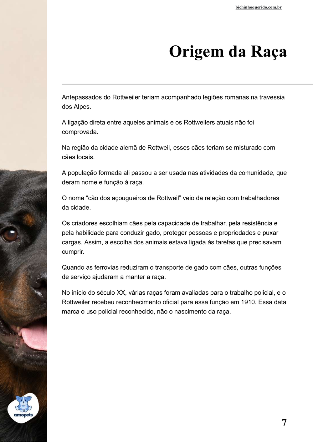 origem da raça no e-book Guia de Como Cuidar do Rottweiler