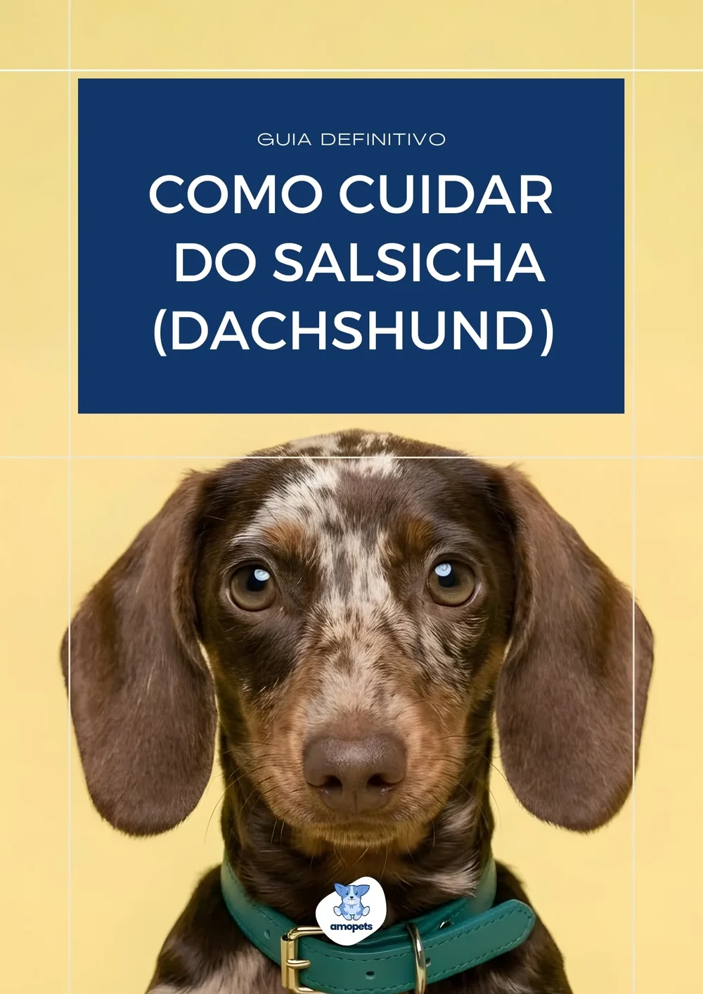 capa do guia de como cuidar do Salsicha Dachshund