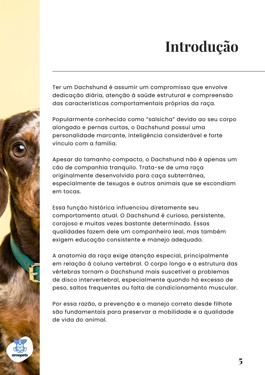 página interna do e-book Guia de Como Cuidar do Salsicha Dachshund