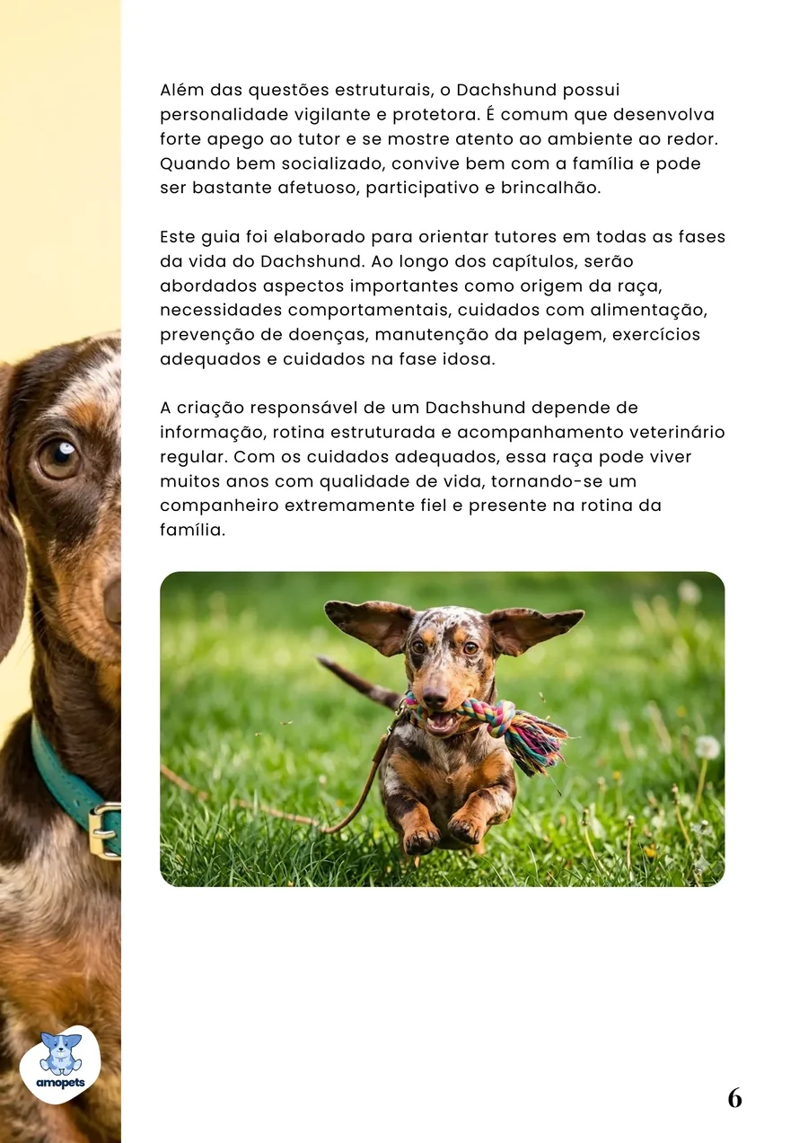 página interna do e-book Guia de Como Cuidar do Salsicha Dachshund