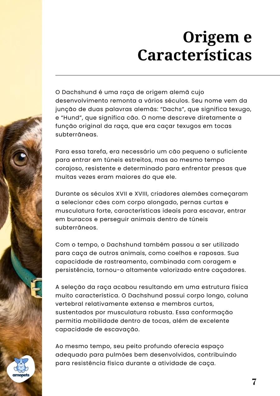 página interna do e-book Guia de Como Cuidar do Salsicha Dachshund