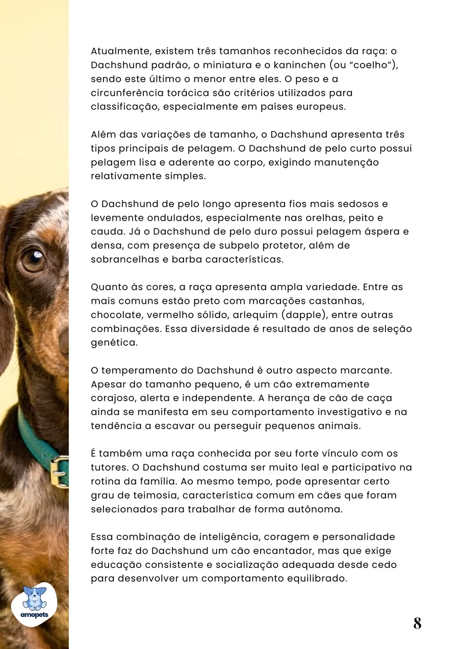página interna do e-book Guia de Como Cuidar do Salsicha Dachshund
