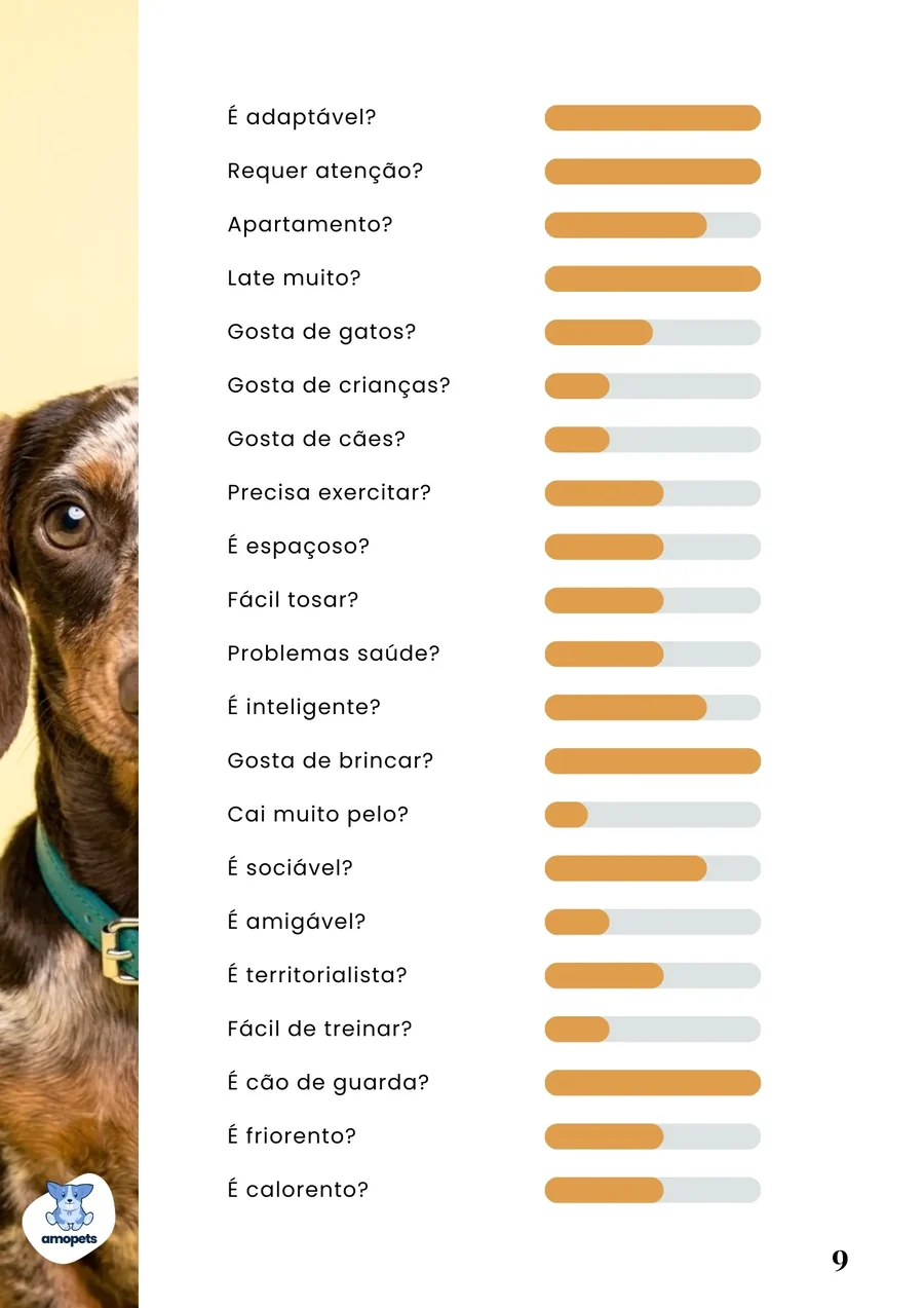 página interna do e-book Guia de Como Cuidar do Salsicha Dachshund