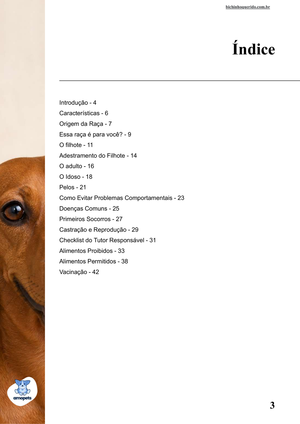 índice do e-book Guia de Como Cuidar do Salsicha Dachshund