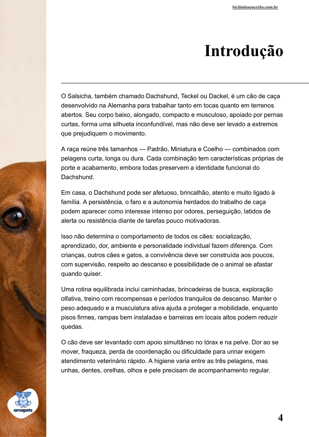 introdução do e-book Guia de Como Cuidar do Salsicha Dachshund