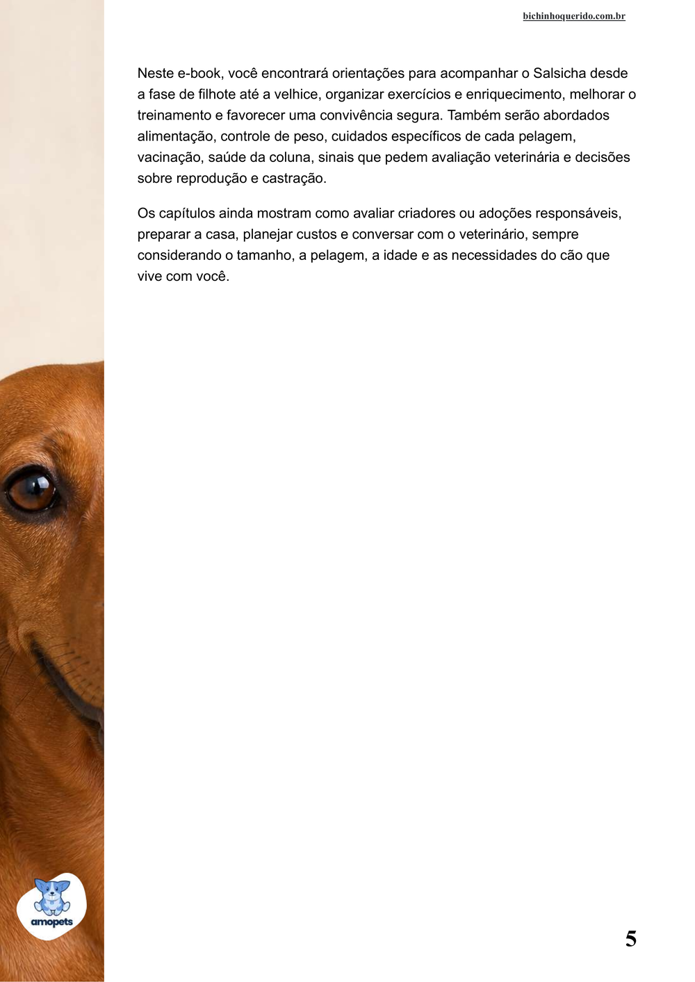 continuação da introdução do e-book Guia de Como Cuidar do Salsicha Dachshund