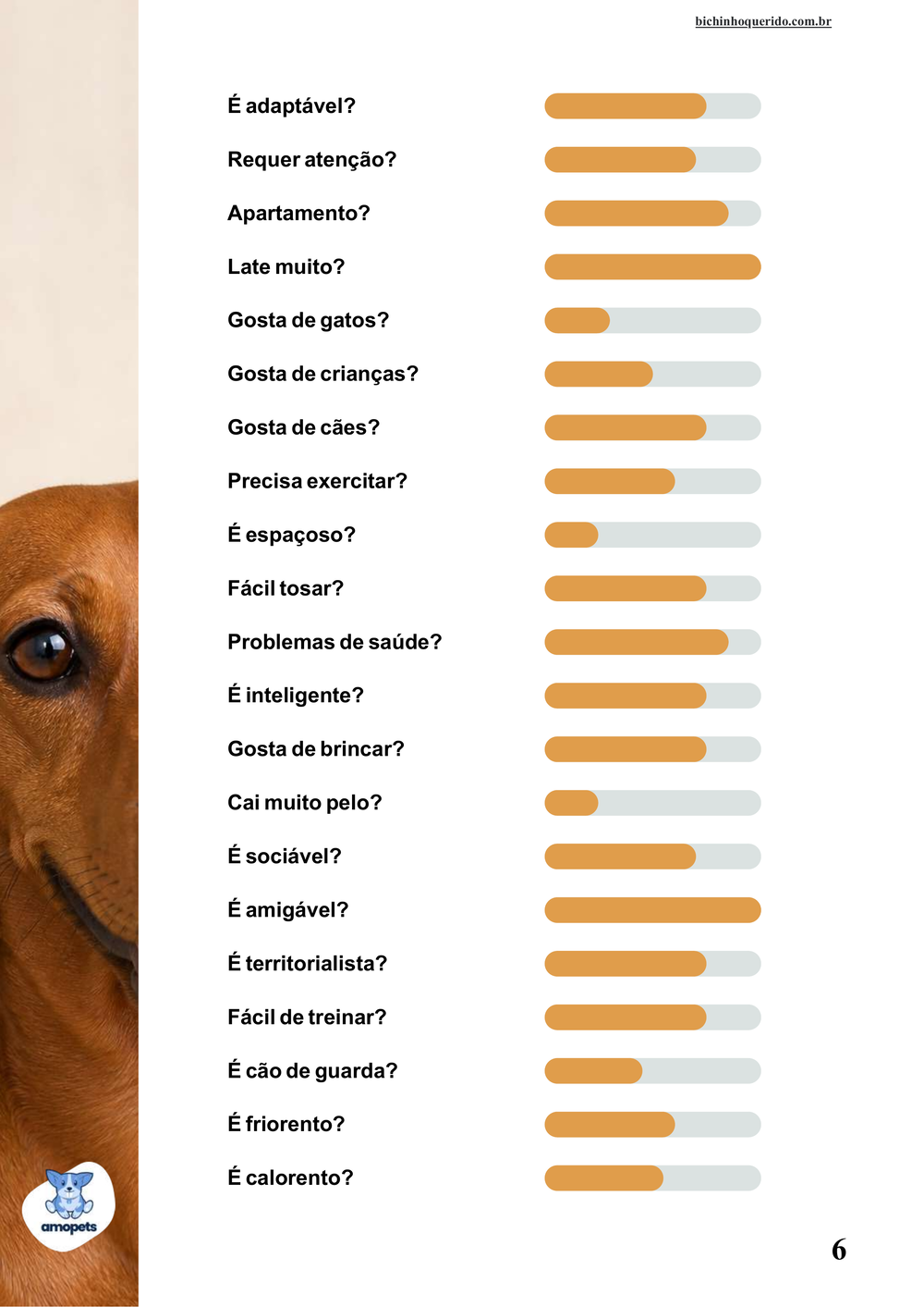 perfil da raça no e-book Guia de Como Cuidar do Salsicha Dachshund